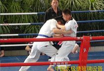 ̫�O��ˤ�ӱ�ِ�ű���(ch��ng)��