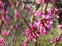 ̫�O�²����O(sh��)�乫˾���쾰ɫ